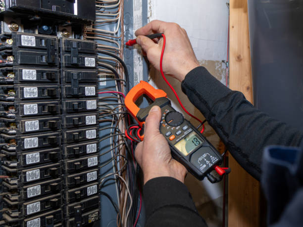 Best Electric Panel Repair  in Perezville, TX